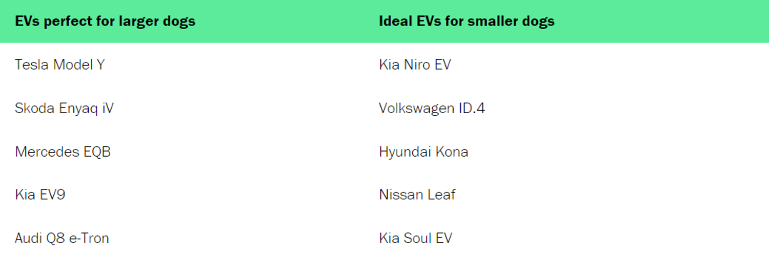 Table of EVs perfect for dogs