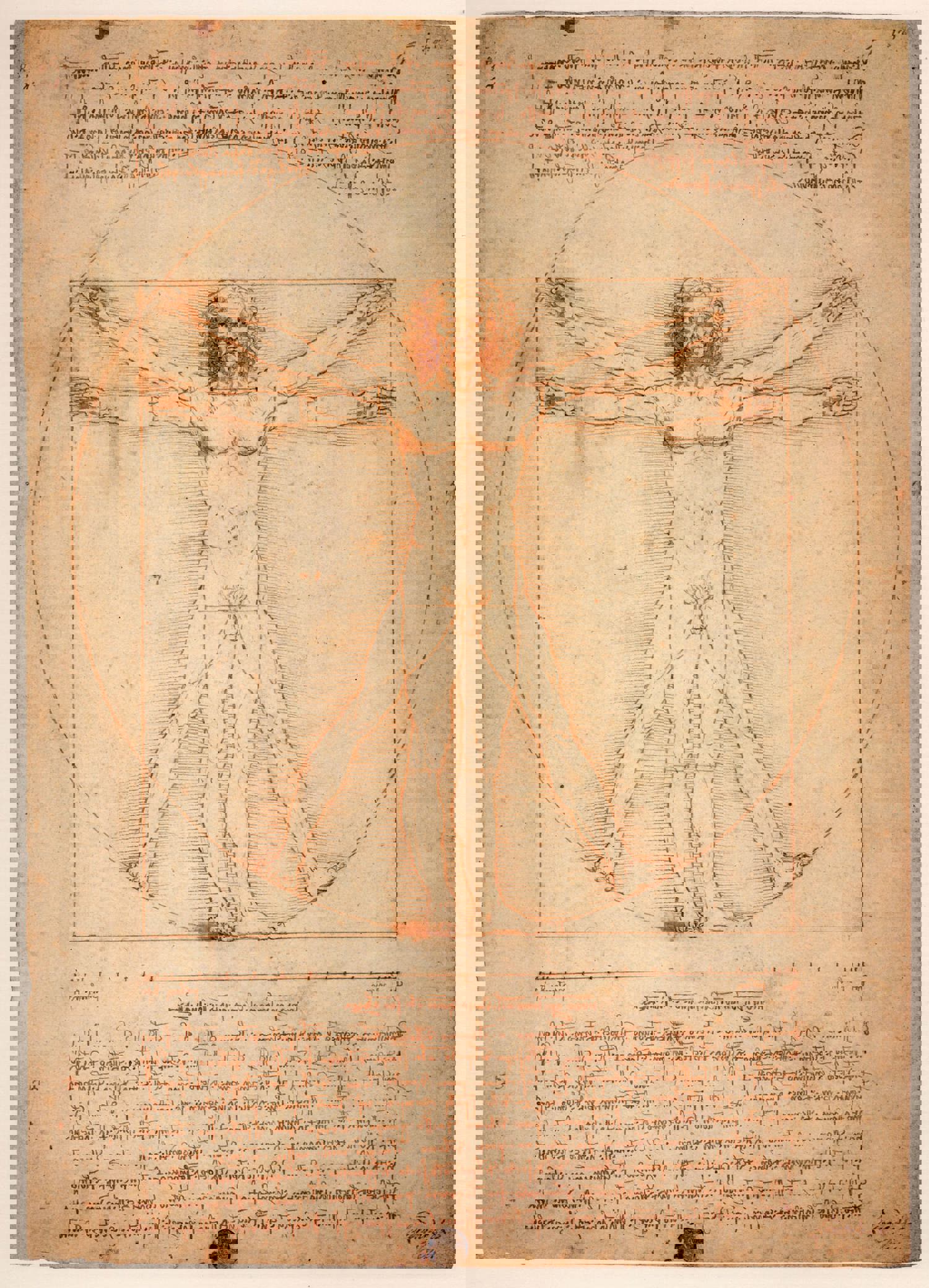 Da Vinci
